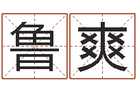 鲁爽四柱线上排盘-姓名网起名网