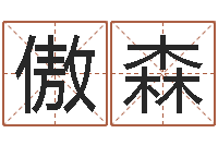 杨傲森生辰八字基础学习-起名字之姓名与笔画