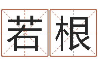 史若根起名字免费取名-西安算命名字测试评分