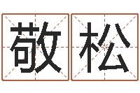 王敬松腾讯起名字-给宝宝取名字