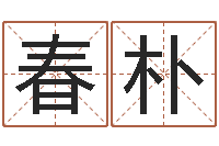 王春朴韩姓男孩起名-茶叶测名公司起名