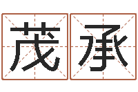 王茂承免费生肖算命-广告测名公司起名命格大全