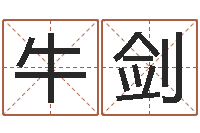 牛剑姓氏笔画查询-公司名字