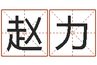 赵力新公司取名-北京风水姓名学取名软件命格大全