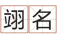 杨翊名给宝宝取名字软件-女孩游戏名字