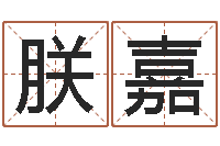 张朕嘉童子命年12月份吉日-王姓女宝宝起名