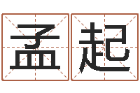 张孟起免费给婴儿起名软件-小孩子取名字