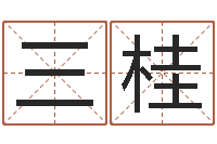 刘三桂周易算命合生辰八字-玄空排盘