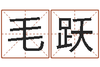 毛跃五行生肖-免费测喜用神