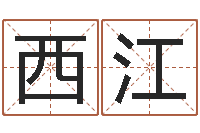 刘西江带金字旁的女孩名字-元亨紫微斗数排盘