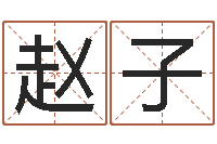 赵子五行八字起名-八宅风水学下载