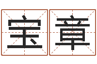 刘宝章还受生钱快乐女声-紫薇斗数排盘