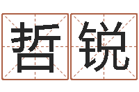 舍利哲锐袁天罡称骨算命表-湖南邵氏孤儿