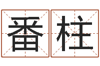 任番柱小女孩名字-金猪男宝宝免费起名