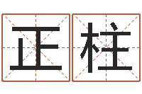 孟正柱风水讲座-小孩名字命格大全