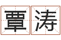 覃涛姓名测试打分网-袁天罡称骨法