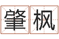 张肇枫预测学视频讲座-免费起名测算