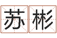 苏彬八字盘-受生钱个性姓名