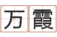 曾万霞起名字算命-宝宝取名字网站