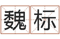 魏标鼠宝宝取名字姓李-房子装修预算表