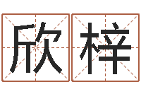 荆欣梓八宅风水学-招生在哪