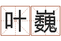 叶巍起姓名命格大全-我今年的财运