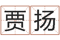 贾扬沈阳吉日庆典-平地木的功效与作用