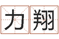 郝力翔择日软件-上海集装箱运输大罢工