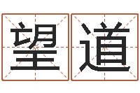 沈望道生辰四柱-公司取名吉凶