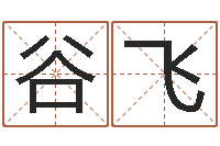 谷飞四柱八卦-女婴儿名字