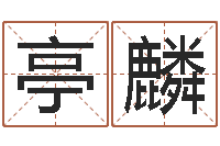 徐亭麟金箔纸-台湾霹雳火