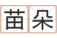 周苗朵寻找算命大师-生辰八字测名