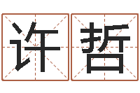 许哲生辰八字免费算命-瓷都免费取名网