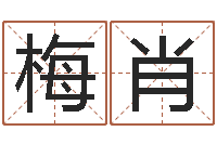 梅肖免费公司起名测名打分-北京风水姓名学取名软件命格大全