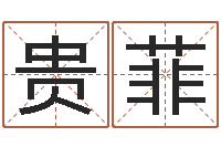 游贵菲五行属水的数字-风水留题