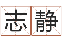 王志静张姓宝宝起名-帮宝宝取名字