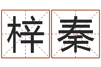 鲁梓秦狡猾的风水相师小说-基金网