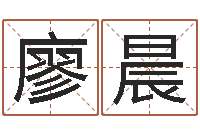 廖晨陈姓男孩起名-给小男孩取名字