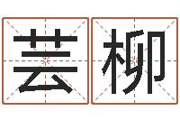 皮芸柳女孩名字-免费八字详批