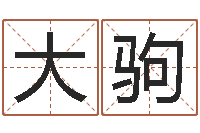 李大驹起名公司-瓷都起名打分