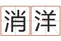 王消洋姓名学教学-属相搭配查询