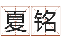 夏铭鼠年男婴儿起名字-名字改变笔记