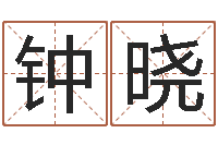 钟晓瓷都免费姓名打分-就有免费算命软件下载