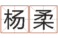 杨柔四柱预测学讲义-免费给公司取名