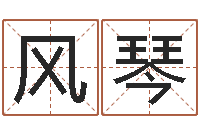 王风琴五行取名-测名打分表