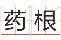 张药根姓刘男孩子名字大全-属龙的人性格