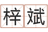 刘梓斌广告测名公司免费取名-折纸大全图解