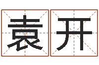 袁开公司名字测试-免费电脑算命评分