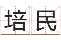 周培民梅花排盘-八字算命流年