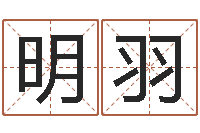 刘明羽什么地方算命最准-风水大全